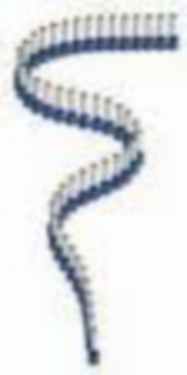 Ändhylsor i band Elematic - ANDHYLSA ELEMATIC 0.75-8mm BAND 500st