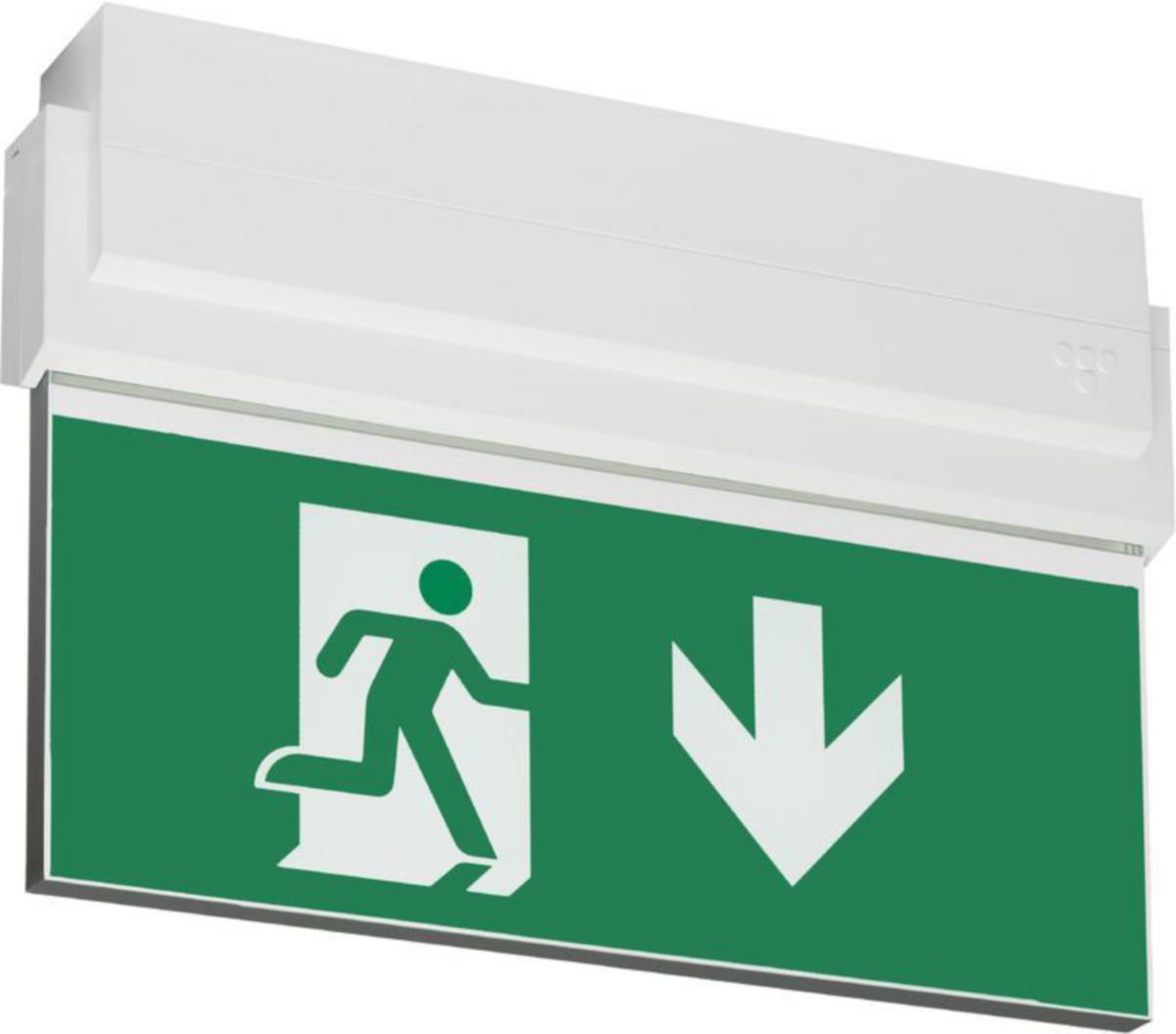 Nödutgångsarmatur Teknoware Opas 80 - HÄNVISNINGSARMATUR TWT8041WK 24VAC/DC IP44