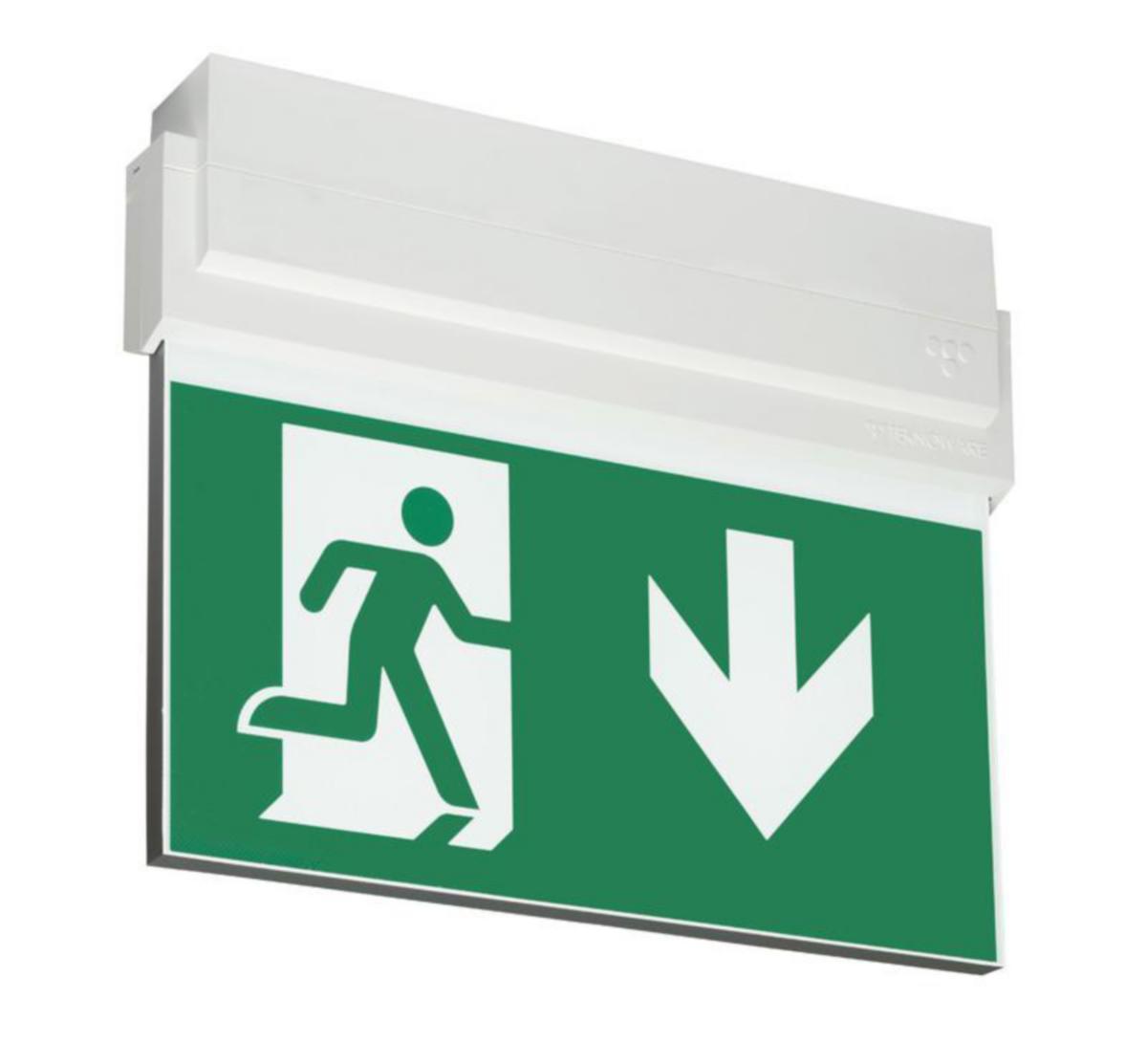 Nödutgångsarmatur Teknoware Opas 80, med piktogramset, 2-sidor, pil nedåt, 26m - EXITARMATUR TEKNOWARE OPAS 80 Y8041W135 24V 26M NER 2-SIDIG
