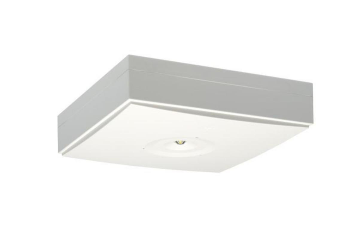 Nödljusarmatur Teknoware Zonespot II Lowbay, utanpåliggande, individuellt förpackad - NÖDLJUSARMATUR TEKNOWARE ZONESPOT II Y9271W 1ST